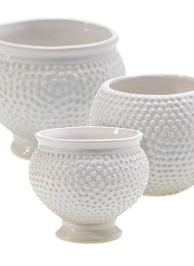 Spotti Pot