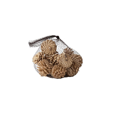 Dried Natural Pinecones in Bag