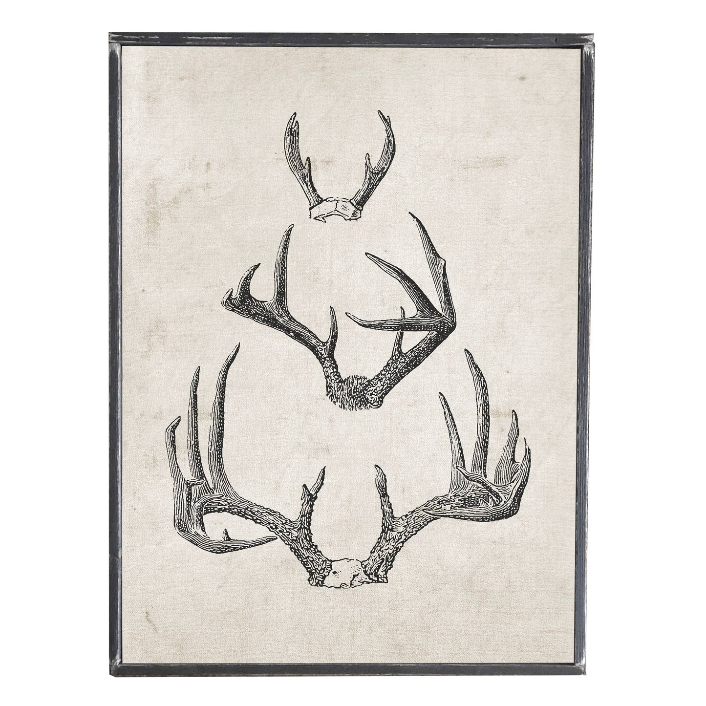 Vintage Antler Print in Distressed Frame