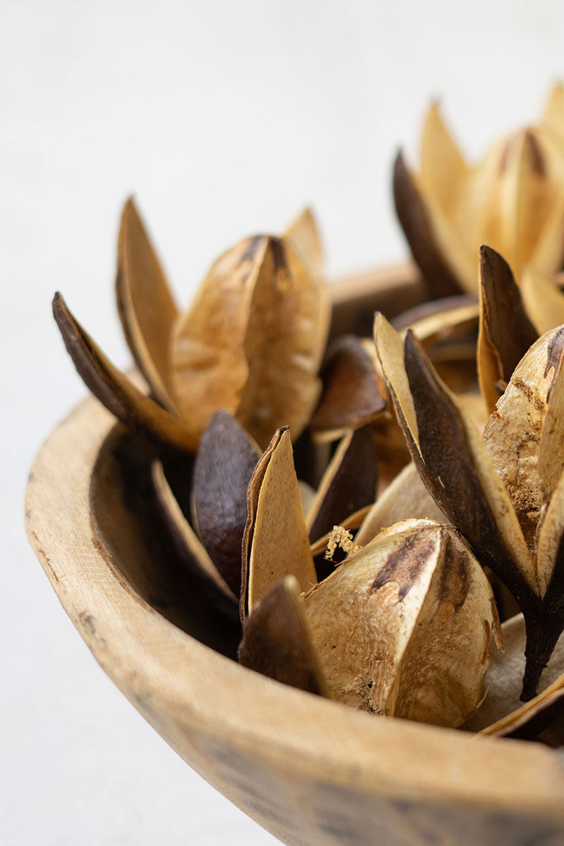 Lily Flower Pods Filler