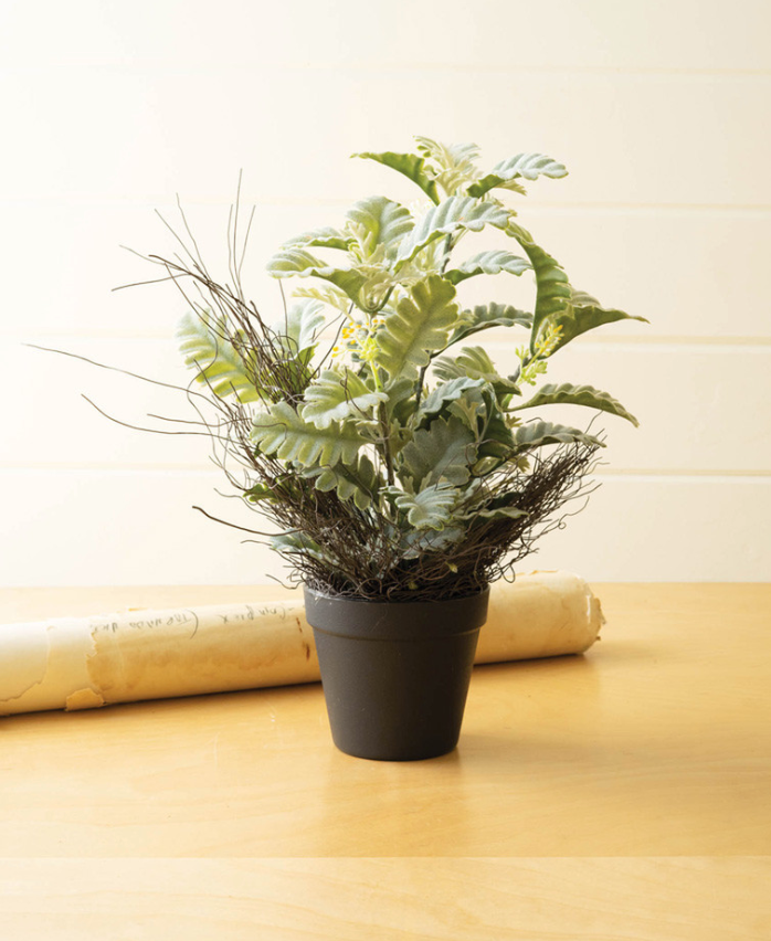 Artificial Dusty Miller Plant in a Black Pot