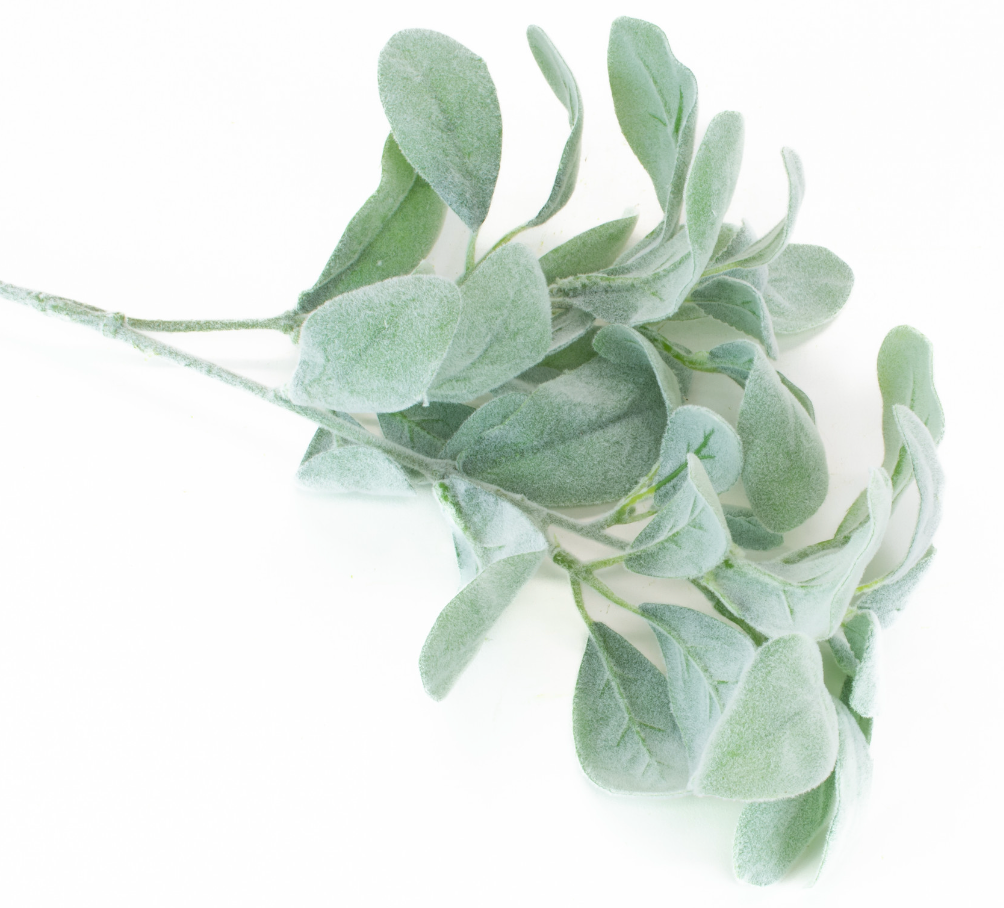 Lambs Ear Spray