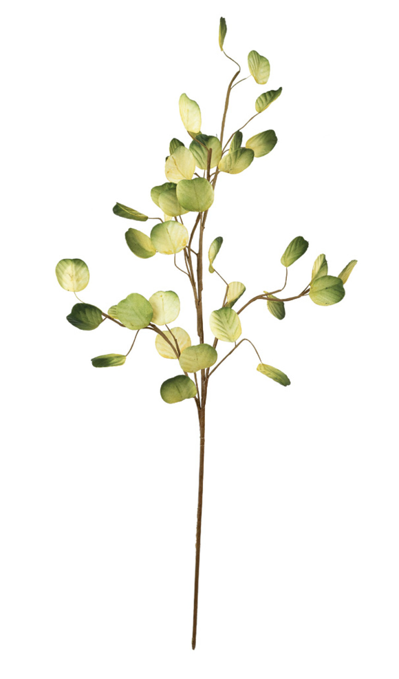 40" Green Branch with Golden Undertones