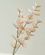 27" Blushing Eucalyptus Spray
