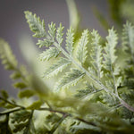 21.5" Green Fern Bush
