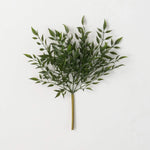 14" Leafy Green Ruscus Bush