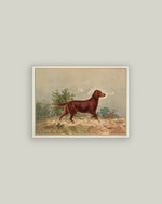 4x6 Standing Retriever Framed Art