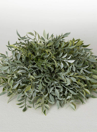 Ruscus Orb