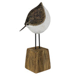 Morrey Wood Bird - Looking Down