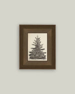 5x7 Vintage Pine Tree Framed Art
