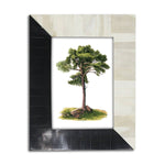 5x7 Black & White Photo Frame