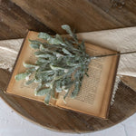 12" Frosted Mistletoe Pick