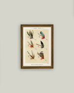 7x9 Lake Flies Framed Art