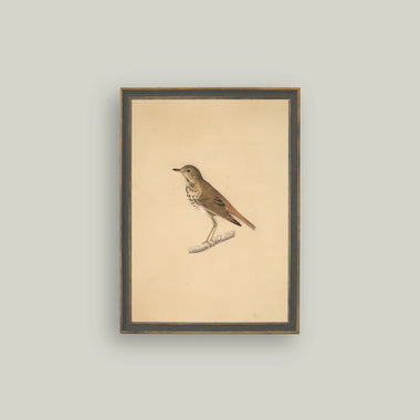 Bird Art in Frame