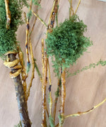 32" Twig Spray with Moss