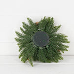 Evergreen Spruce with Birch Cones Half Sphere