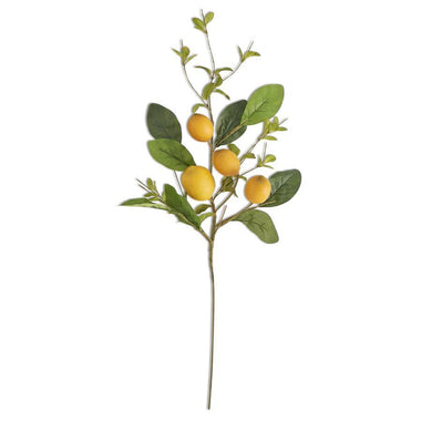 28" Lemon & Foliage Stem
