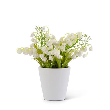 6.75" Lily of the Valley in Pot