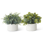 7.25" Eucalyptus in Ribbed White Ceramic Vase