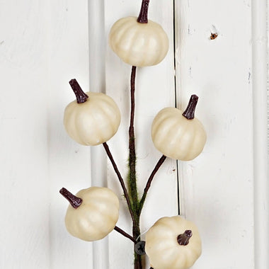 11" Mini Pumpkin Twiggy Pick-Cream