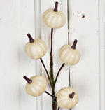 11" Mini Pumpkin Twiggy Pick-Cream