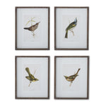 19.75" Bird Print w/ Brown Ribbed Wood Frame