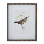 19.75" Bird Print w/ Brown Ribbed Wood Frame