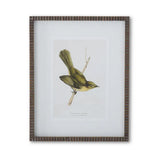 19.75" Bird Print w/ Brown Ribbed Wood Frame