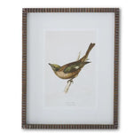 19.75" Bird Print w/ Brown Ribbed Wood Frame