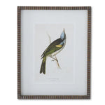 19.75" Bird Print w/ Brown Ribbed Wood Frame