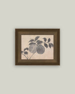 8x10 Branch of Fruit Bearing Tree Framed Art