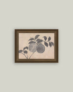 8x10 Branch of Fruit Bearing Tree Framed Art