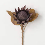 20" Warm Coffee Colored Faux Dried Protea