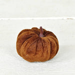 Mini Velvet Pumpkin Bag of 6 - Brown