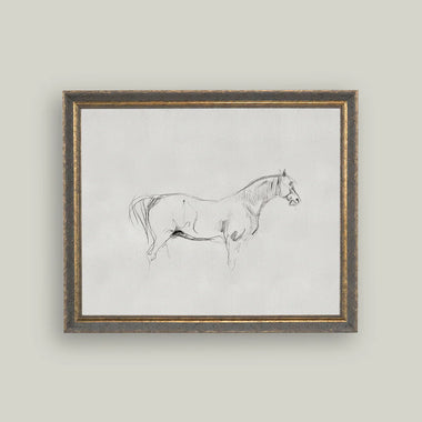 Horse Sketch on Artist Board