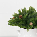 Evergreen Spruce with Birch Cones Half Sphere