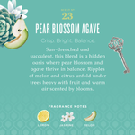 Pear Blossom Agave Biodegradable Dish Soap with Bark & Aloe