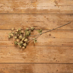 35" Green Chinese Lantern Spray