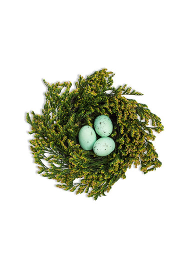 Robin's Egg Nest