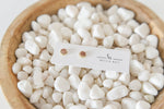 Anne Bronze Druzy Studs
