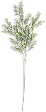 26" Powdered Boxwood Stem