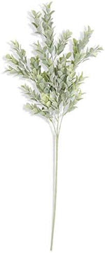 26" Powdered Boxwood Stem