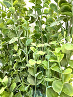 17" Green Eucalyptus Bush