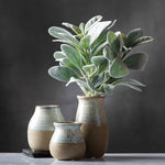 14" Lambs Ear Bundle