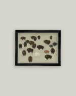 8x10 Bison Herd Framed Art