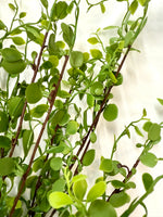 22" Button Leaf Spray