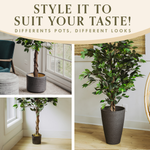 6' Faux Ficus