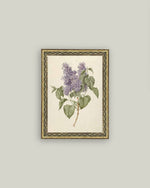 5x7 Lilac Branch Framed Art