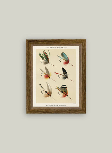 7x9 Lake Flies Framed Art