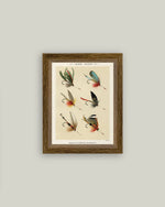 7x9 Lake Flies Framed Art